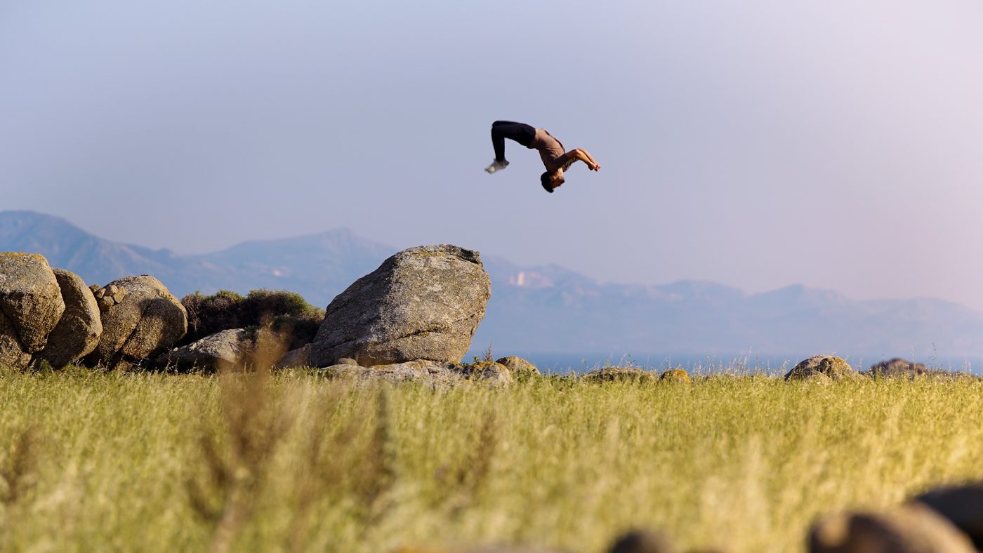 Movement in a landscape at golden hour